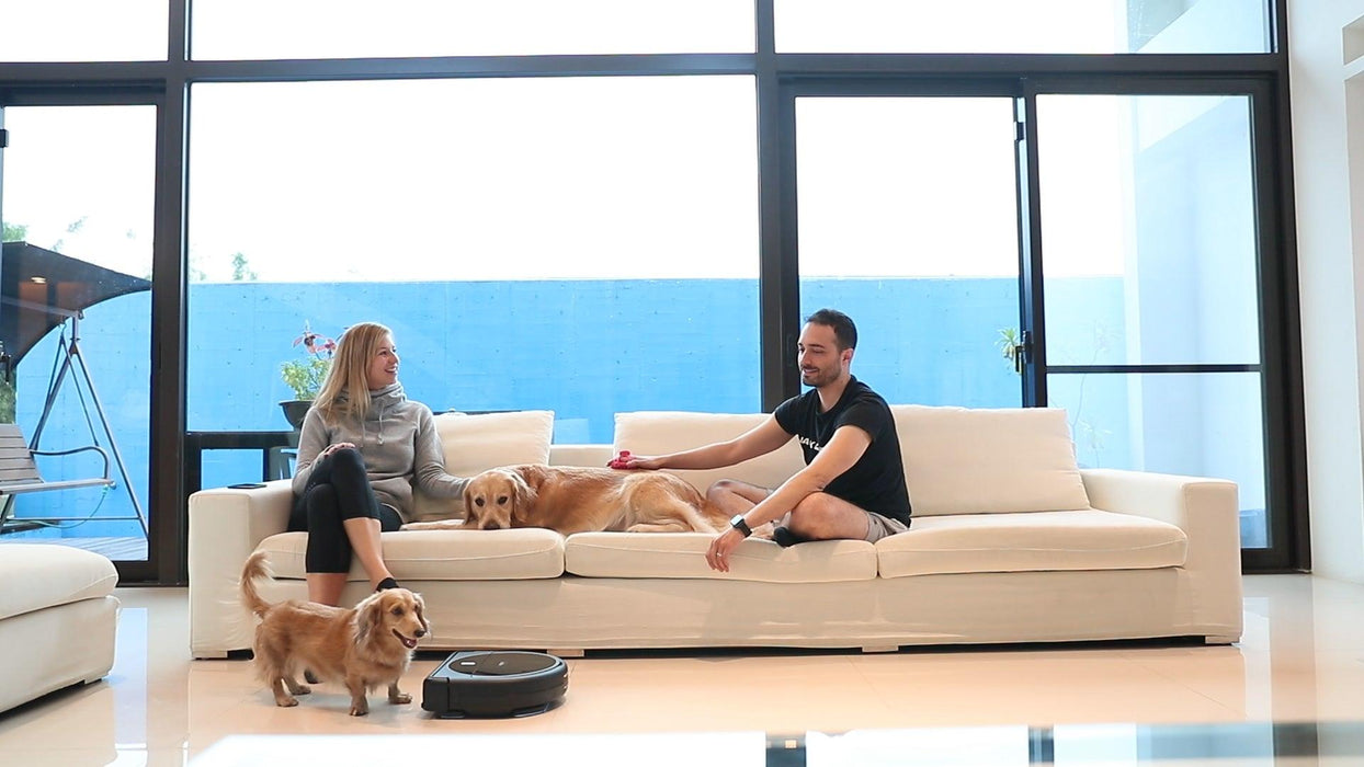 guy and girl on couch with dogs