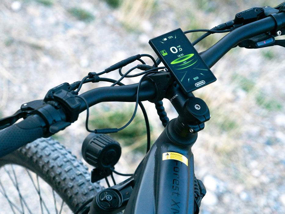 Velowave-Forest XM MTB 17"